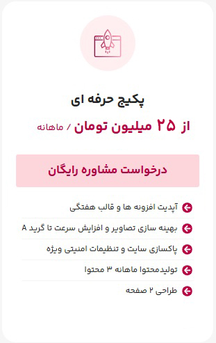 پکیج حرفه ای پشتیبانی سایت