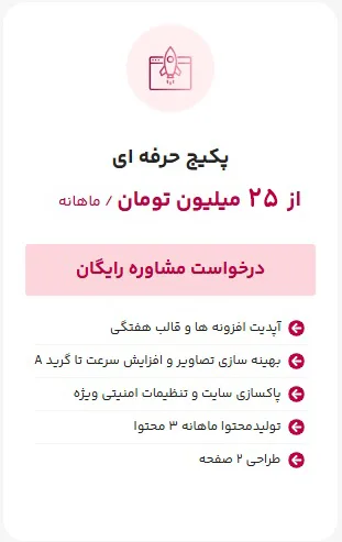 پکیج حرفه ای پشتیبانی سایت