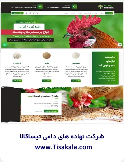 طراحی و پیاده سازی وبسایت تیساکالا