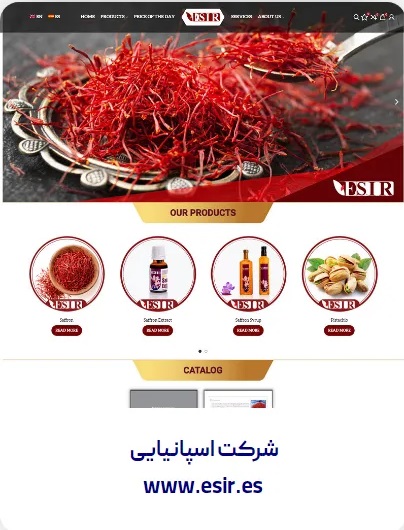 طراحی وبسایت شرکت اسپانیایی