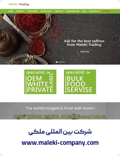 طراحی وبسایت شرکت بین المللی ملکی
