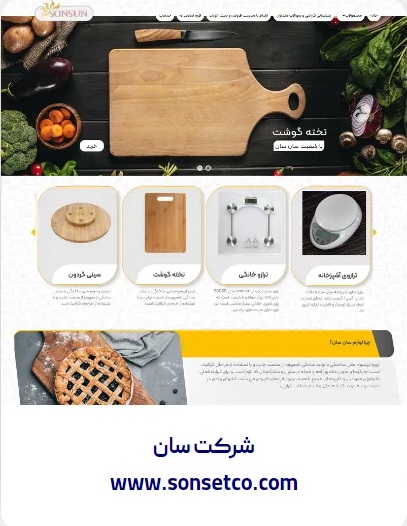 طراحی وبسایت شرکت سان