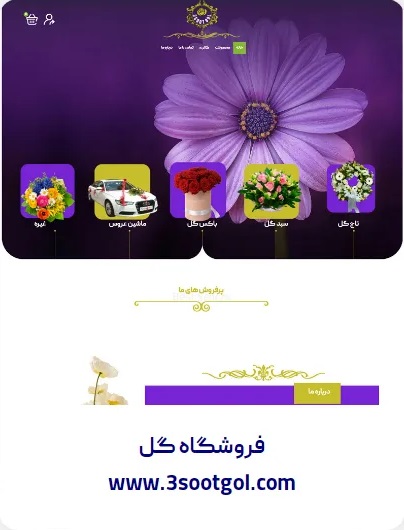 طراحی وبسایت فروشگاه سه سوت گل